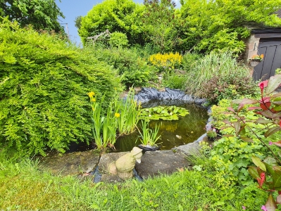 Picture 8